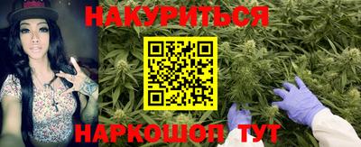индика Ливны