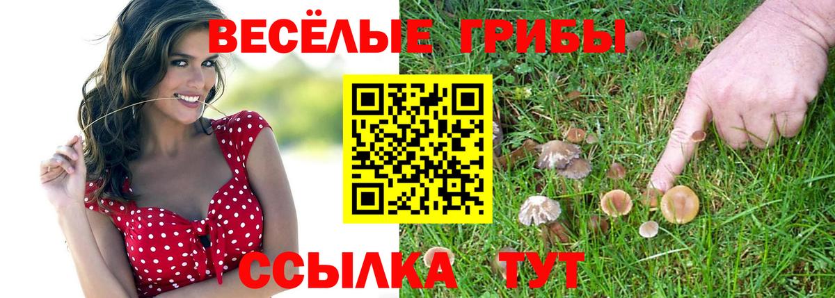 Псилоцибиновые грибы мицелий Железногорск